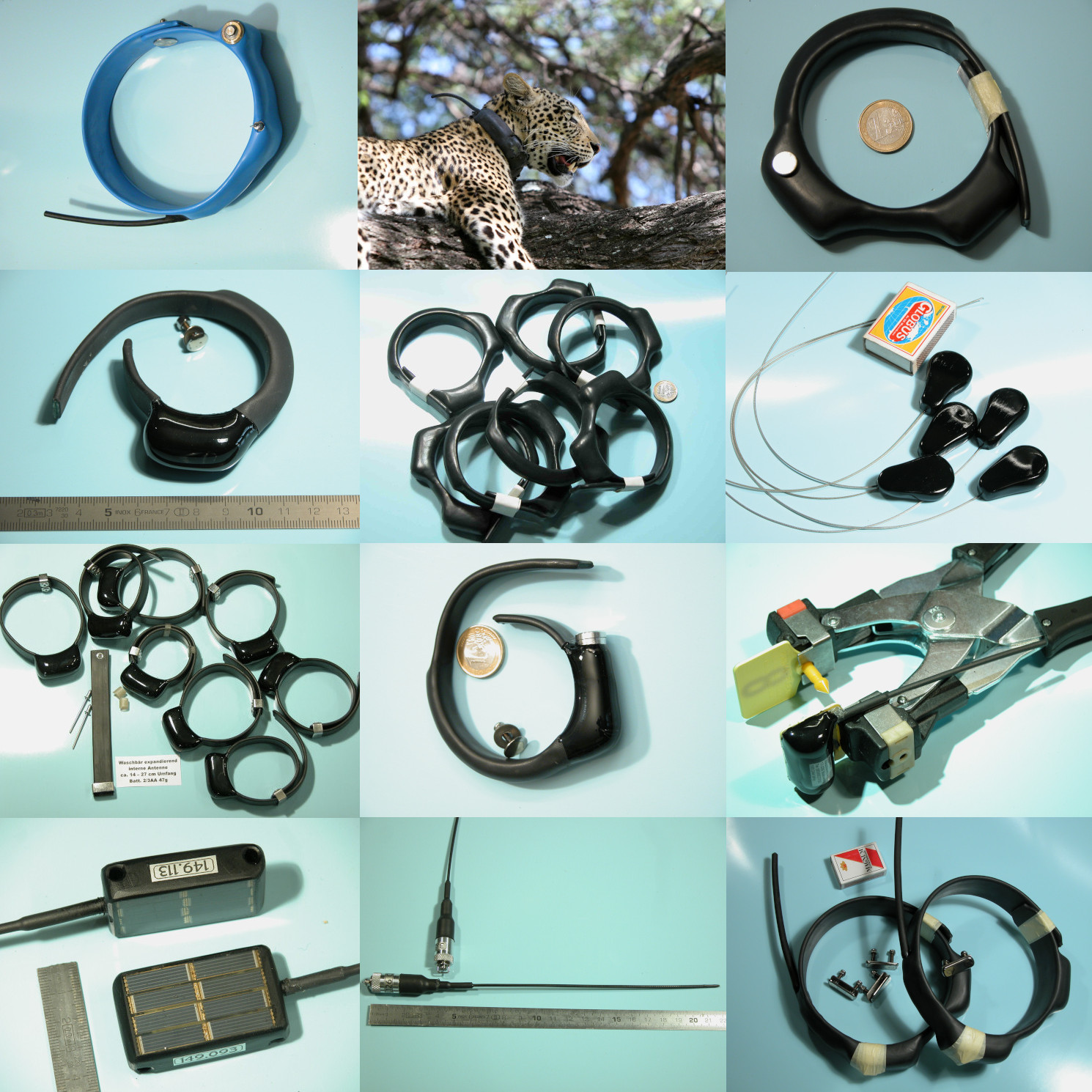 Some examples of wildlife transmitters